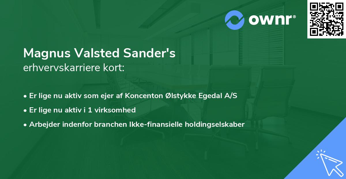 Magnus Valsted Sander's erhvervskarriere kort