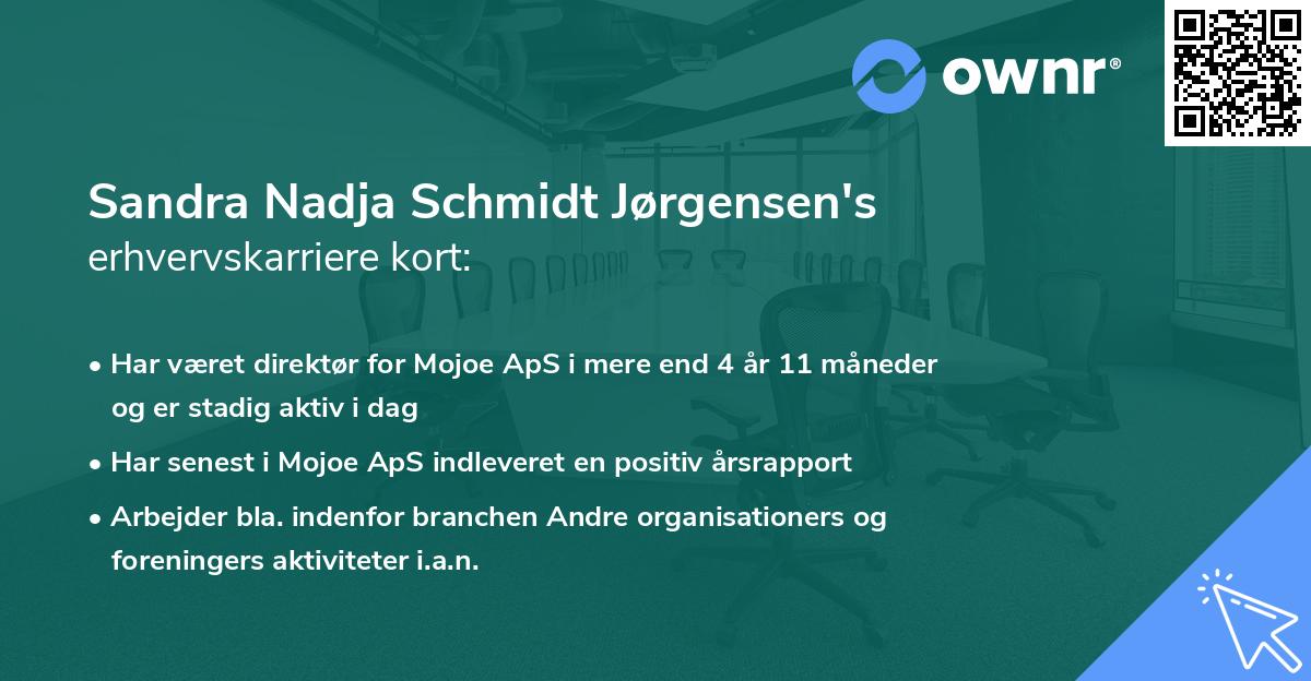 Sandra Nadja Schmidt Jørgensen's erhvervskarriere kort
