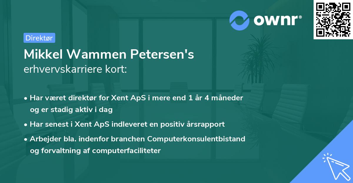 Mikkel Wammen Petersen's erhvervskarriere kort
