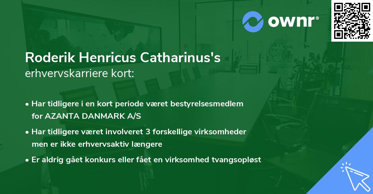 Roderik Henricus Catharinus's erhvervskarriere kort