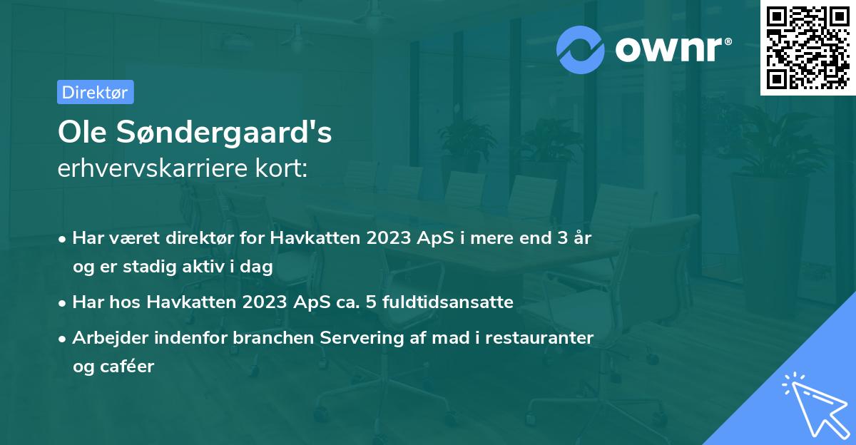 Ole Søndergaard's erhvervskarriere kort