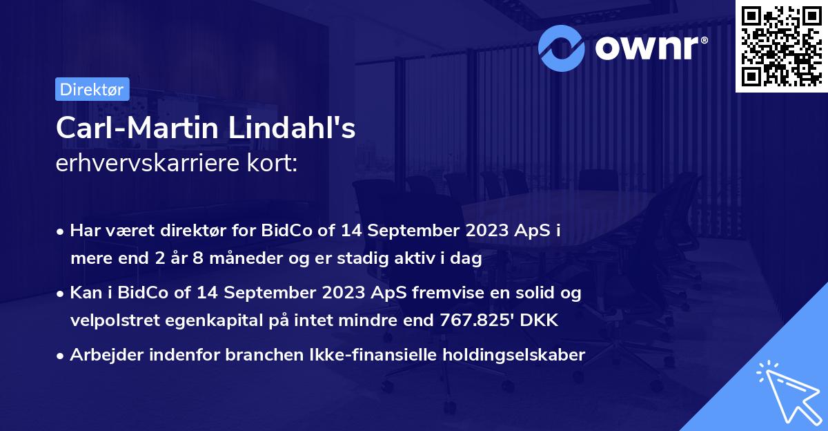 Carl-Martin Lindahl's erhvervskarriere kort