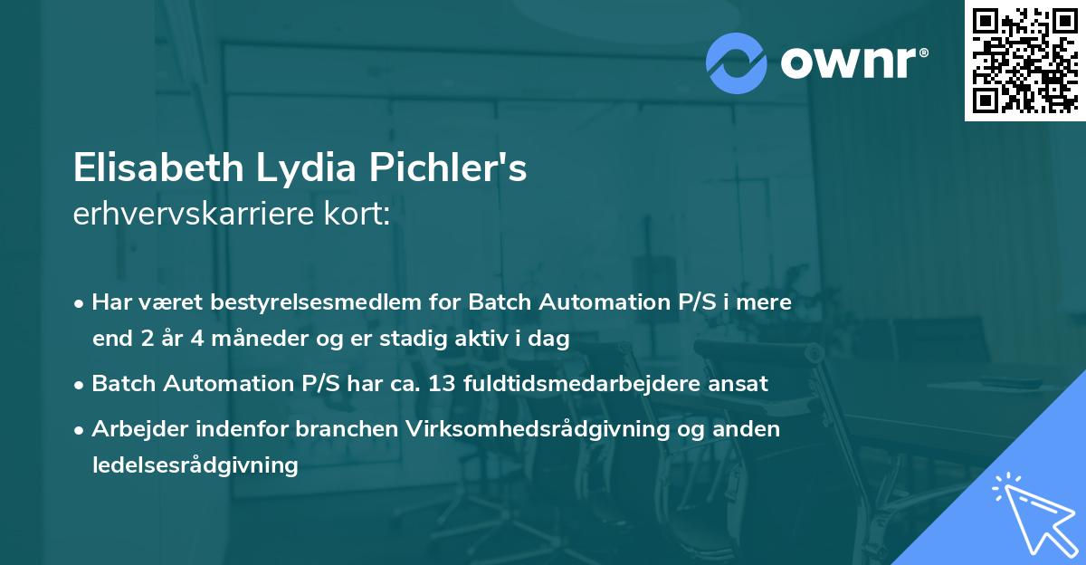 Elisabeth Lydia Pichler's erhvervskarriere kort