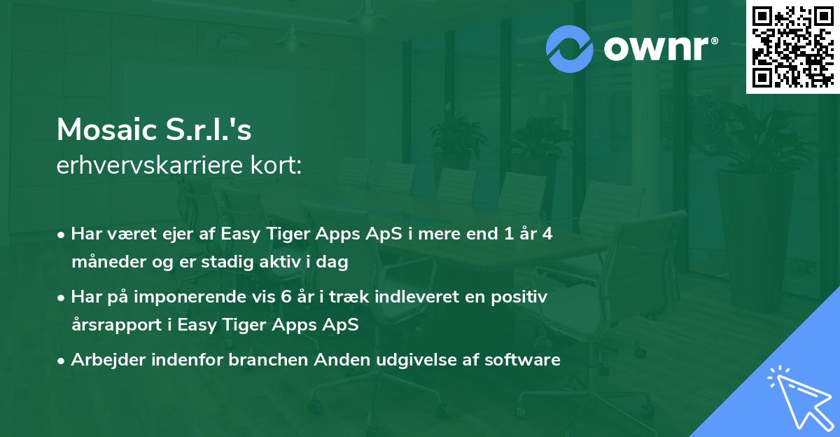 Mosaic S.r.l.'s erhvervskarriere kort