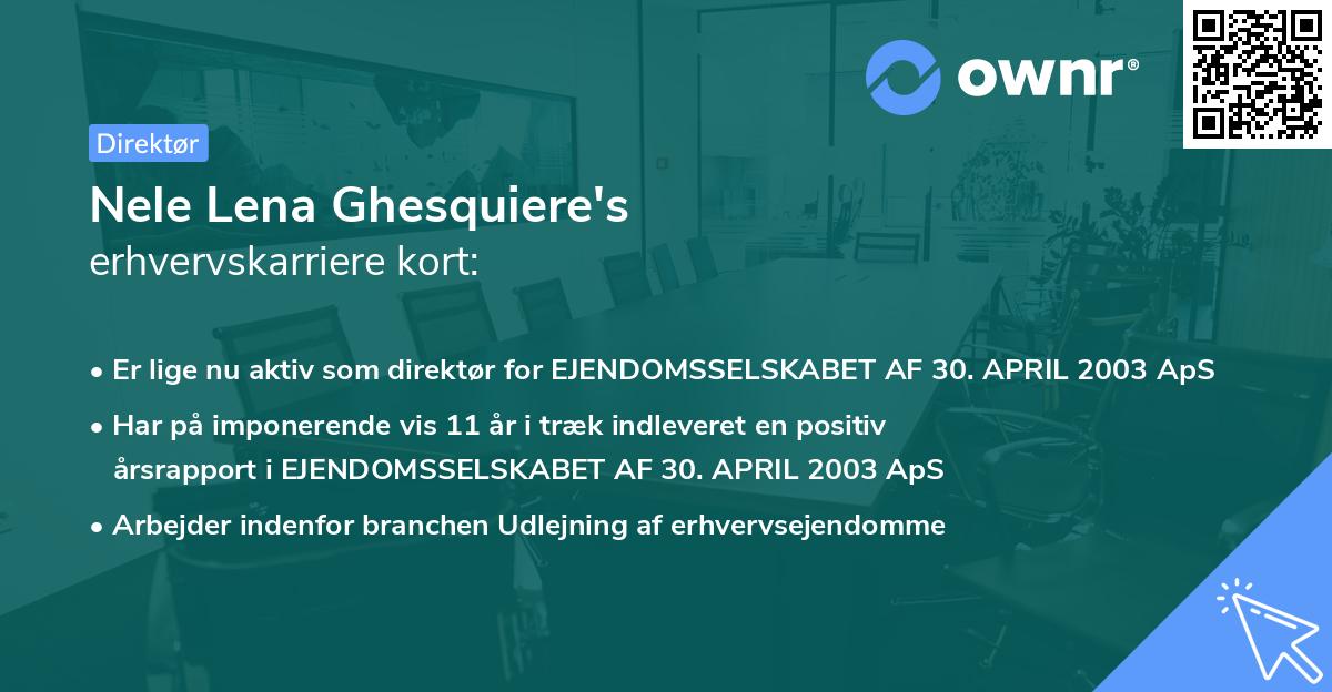 Nele Lena Ghesquiere's erhvervskarriere kort
