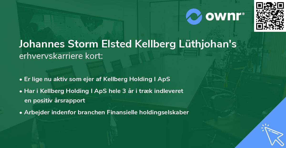 Johannes Storm Elsted Kellberg Lüthjohan's erhvervskarriere kort