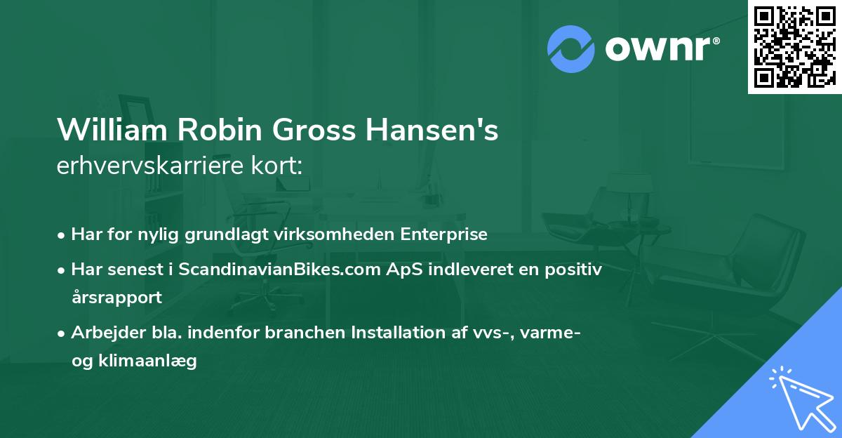 William Robin Gross Hansen's erhvervskarriere kort
