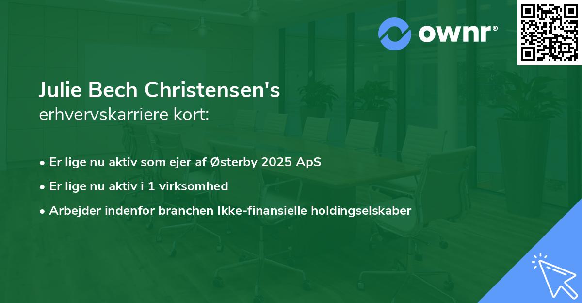Julie Bech Christensen's erhvervskarriere kort