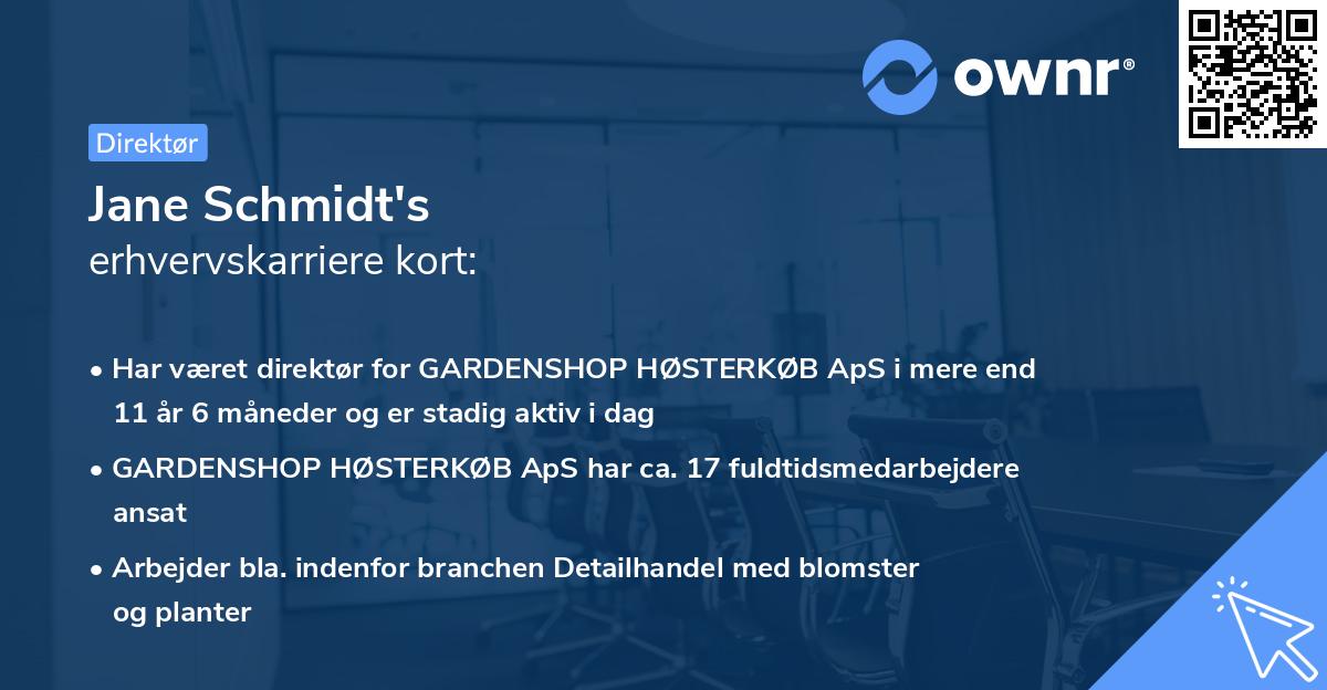 Jane Schmidt's erhvervskarriere kort