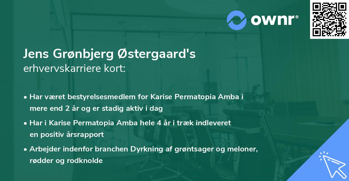 Jens Grønbjerg Østergaard's erhvervskarriere kort