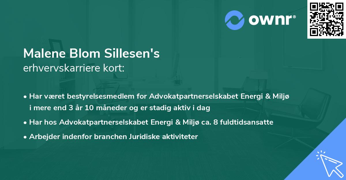 Malene Blom Sillesen's erhvervskarriere kort