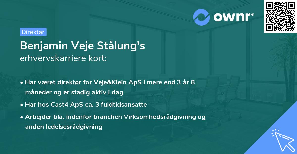 Benjamin Veje Stålung's erhvervskarriere kort