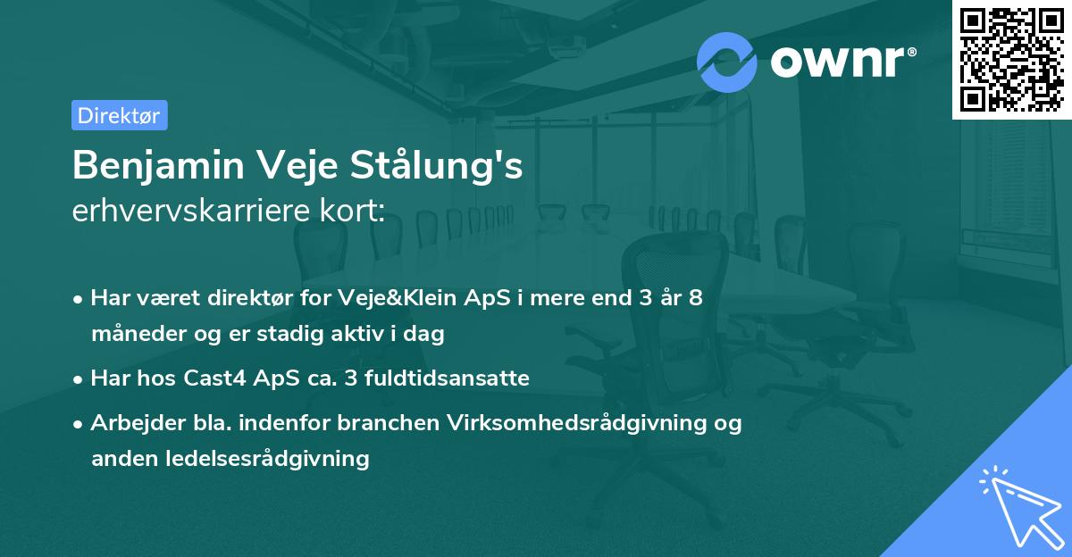Benjamin Veje Stålung's erhvervskarriere kort
