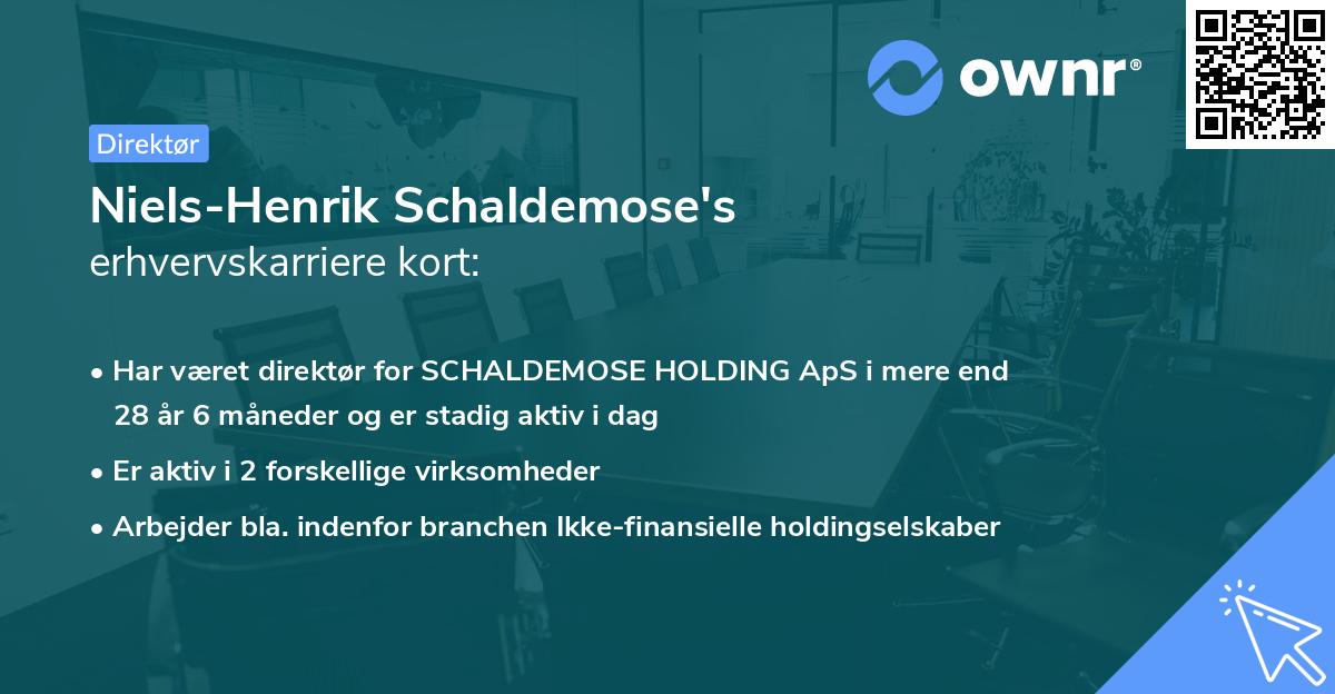 Niels-Henrik Schaldemose's erhvervskarriere kort