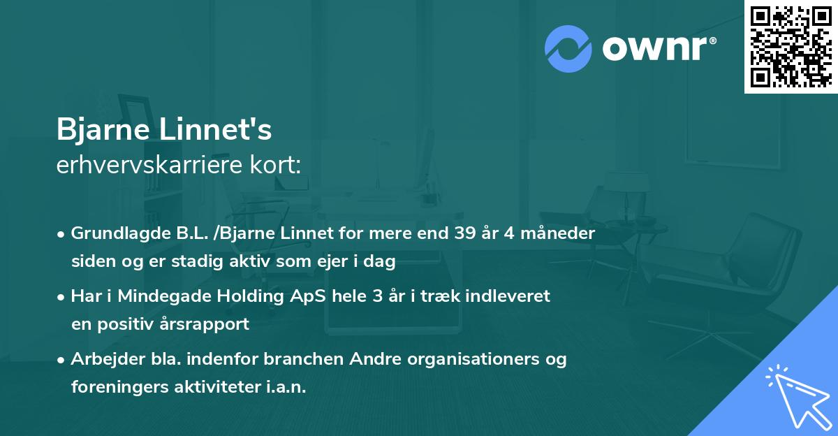 Bjarne Linnet's erhvervskarriere kort