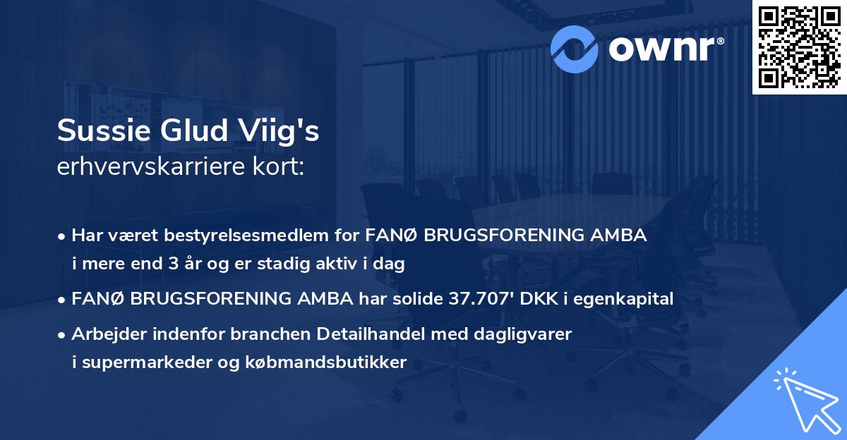 Sussie Glud Viig's erhvervskarriere kort