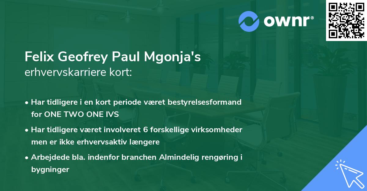 Felix Geofrey Paul Mgonja's erhvervskarriere kort