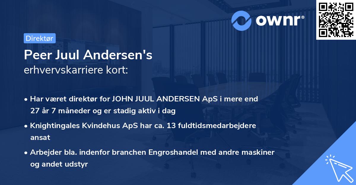 Peer Juul Andersen's erhvervskarriere kort