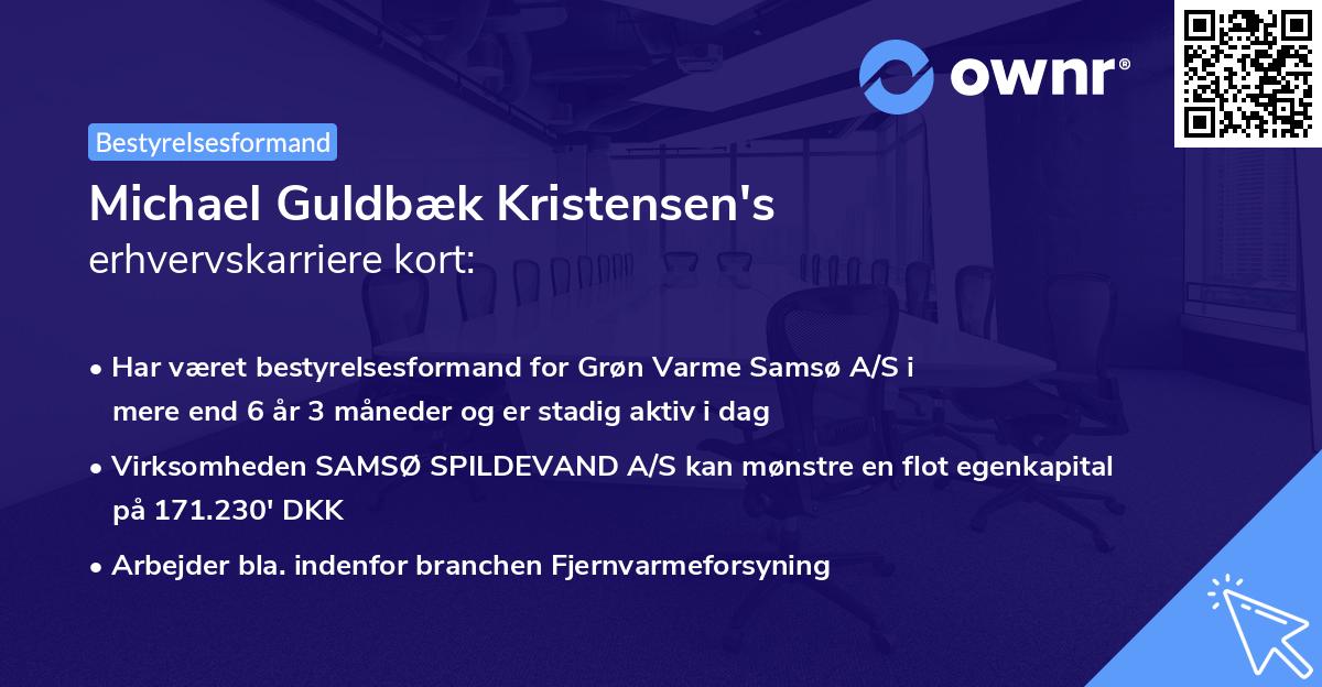 Michael Guldbæk Kristensen's erhvervskarriere kort