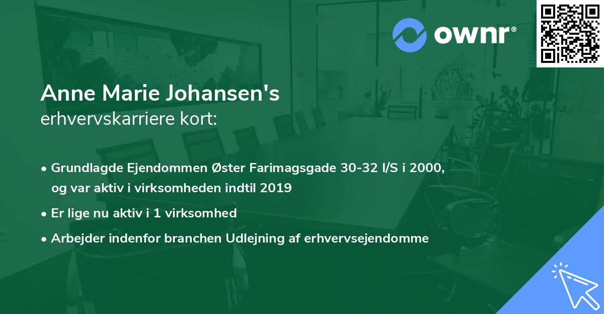 Anne Marie Johansen's erhvervskarriere kort