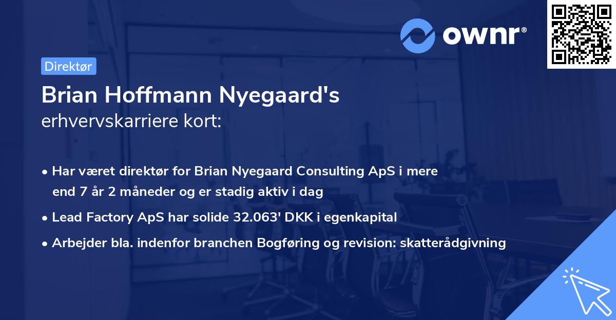 Brian Hoffmann Nyegaard's erhvervskarriere kort