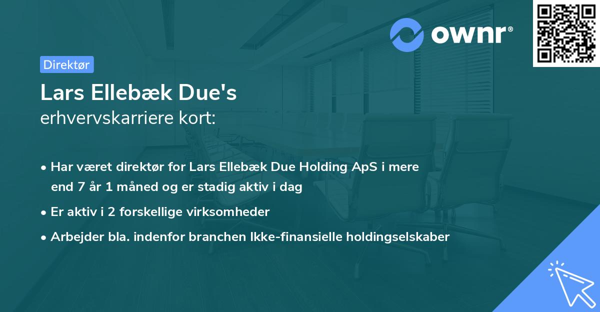 Lars Ellebæk Due's erhvervskarriere kort