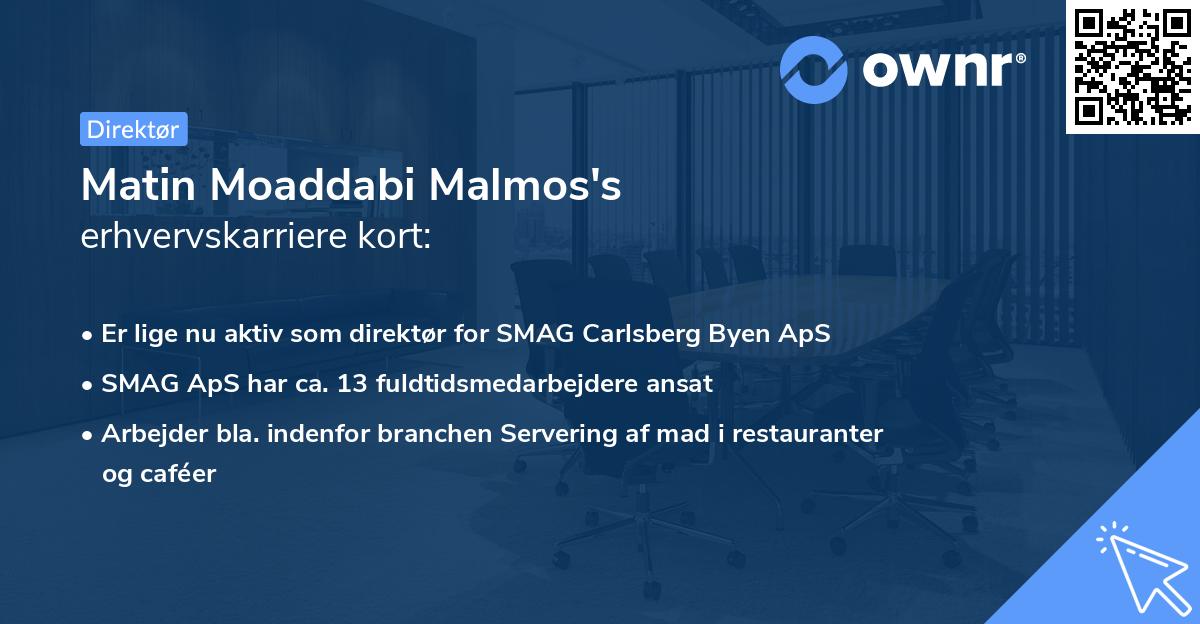 Matin Moaddabi Malmos's erhvervskarriere kort