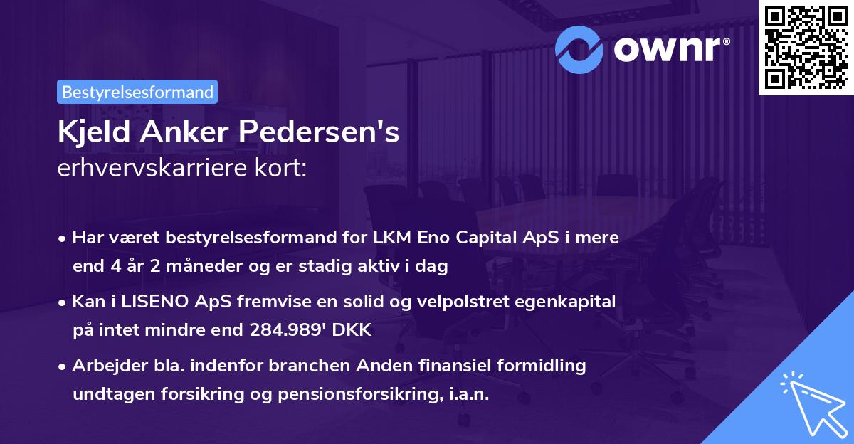 Kjeld Anker Pedersen's erhvervskarriere kort