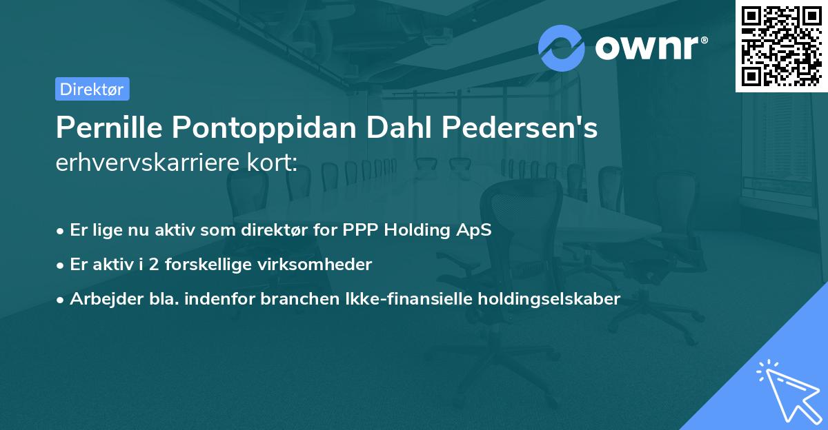 Pernille Pontoppidan Dahl Pedersen's erhvervskarriere kort