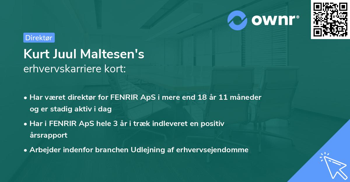 Kurt Juul Maltesen's erhvervskarriere kort