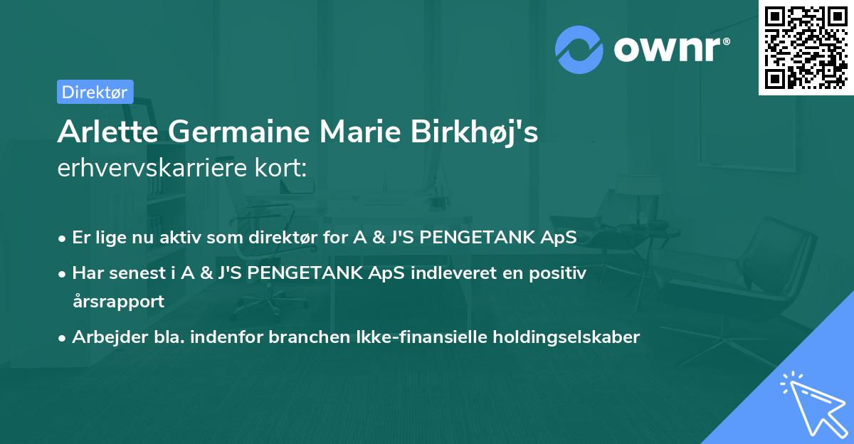 Arlette Germaine Marie Birkhøj's erhvervskarriere kort