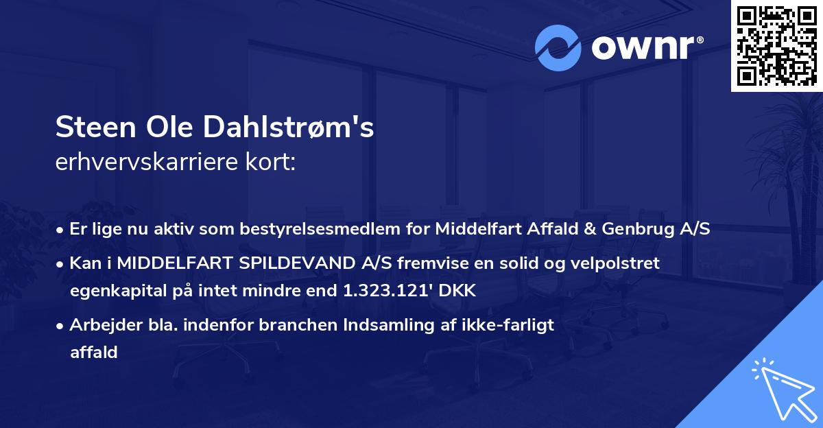 Steen Ole Dahlstrøm's erhvervskarriere kort