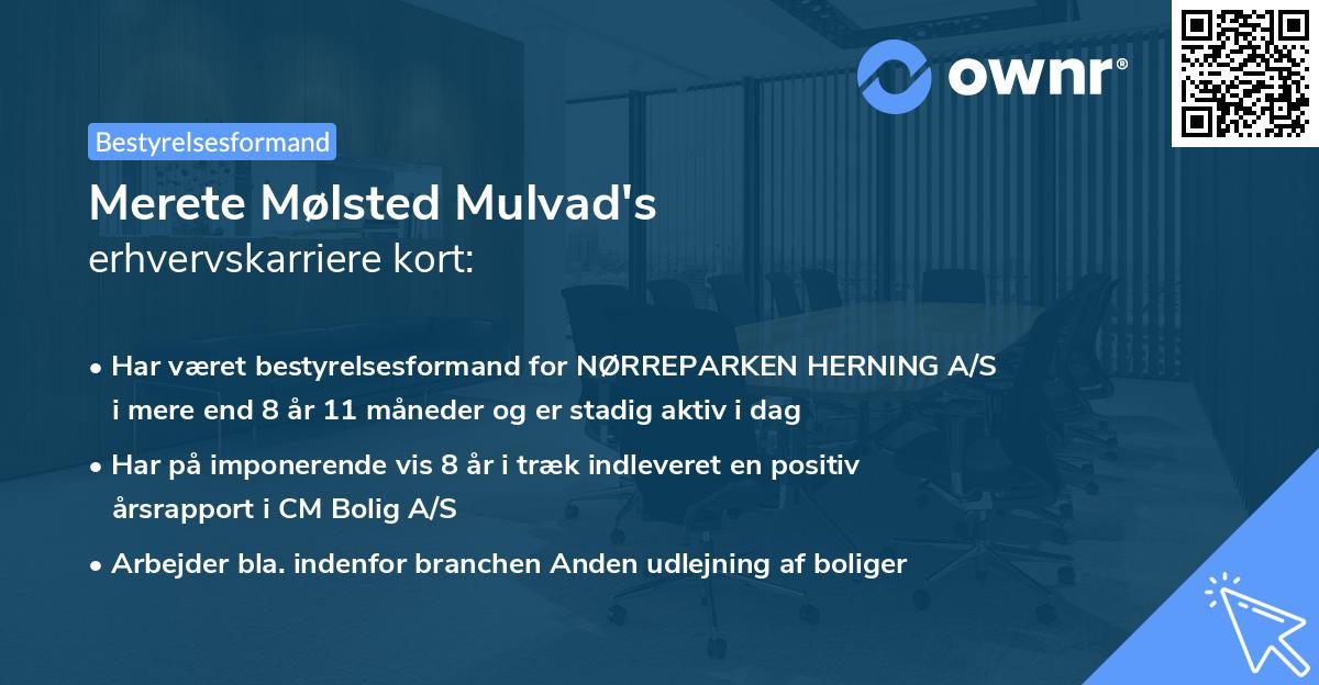 Merete Mølsted Mulvad's erhvervskarriere kort