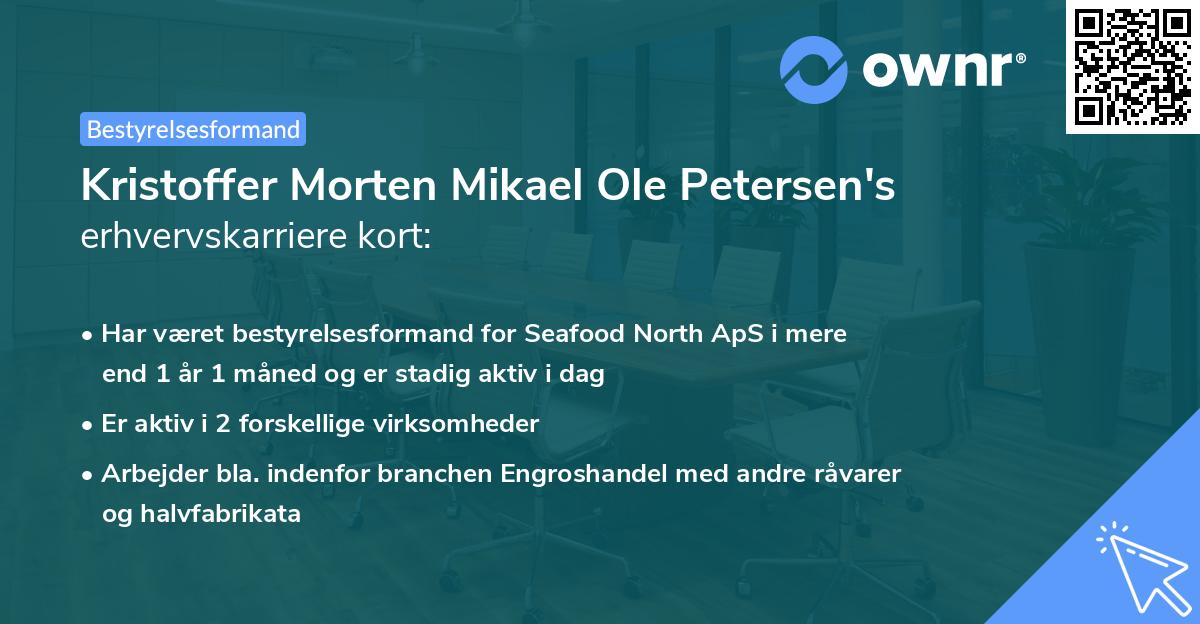 Kristoffer Morten Mikael Ole Petersen's erhvervskarriere kort