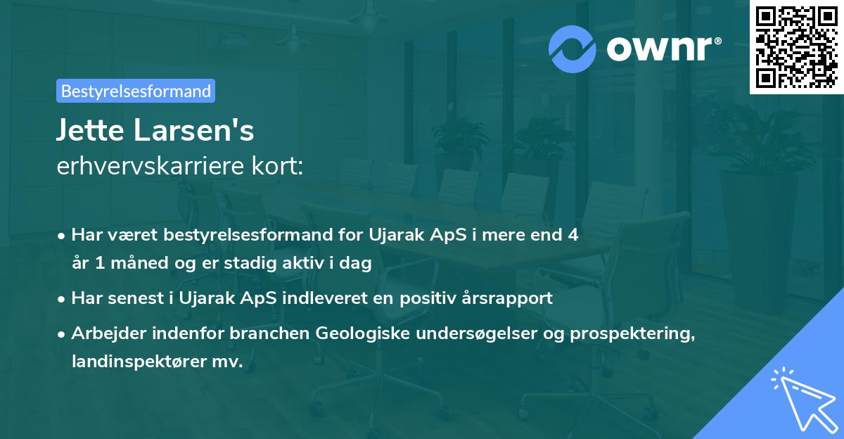 Jette Larsen's erhvervskarriere kort