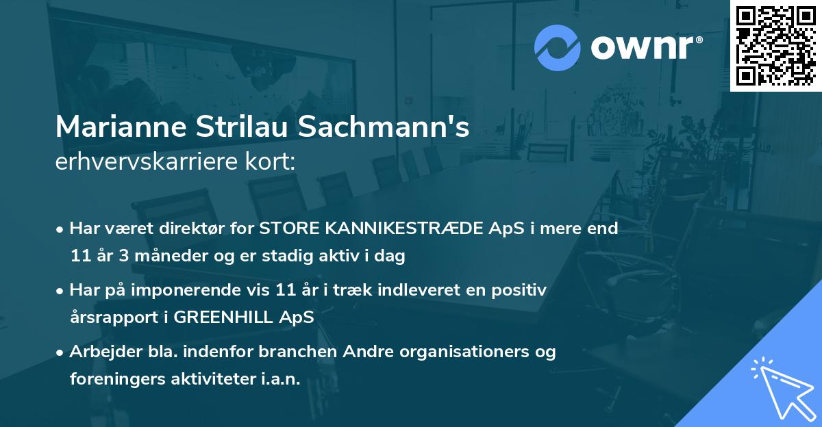 Marianne Strilau Sachmann's erhvervskarriere kort