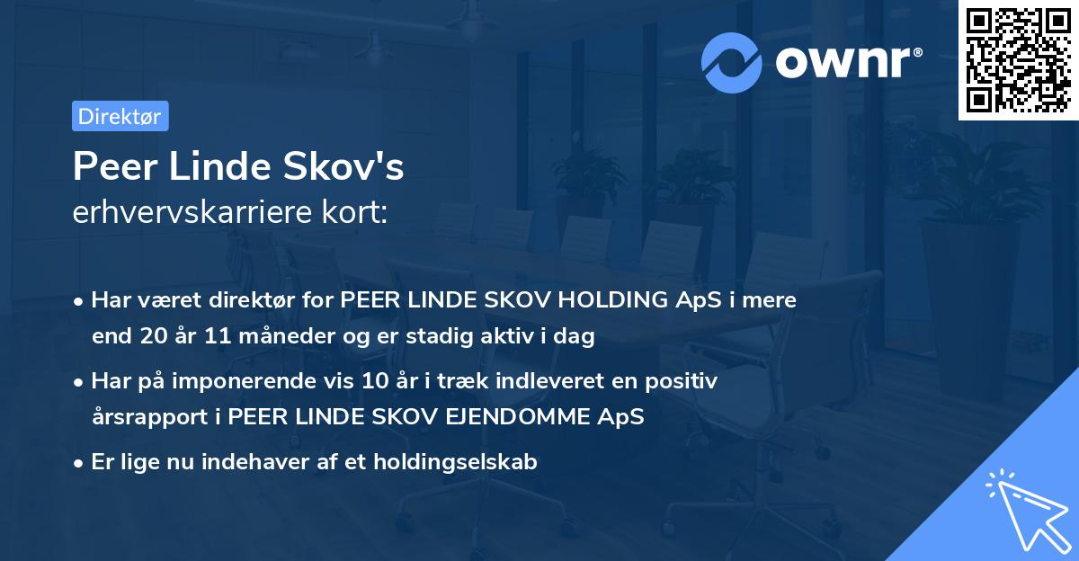 Peer Linde Skov's erhvervskarriere kort