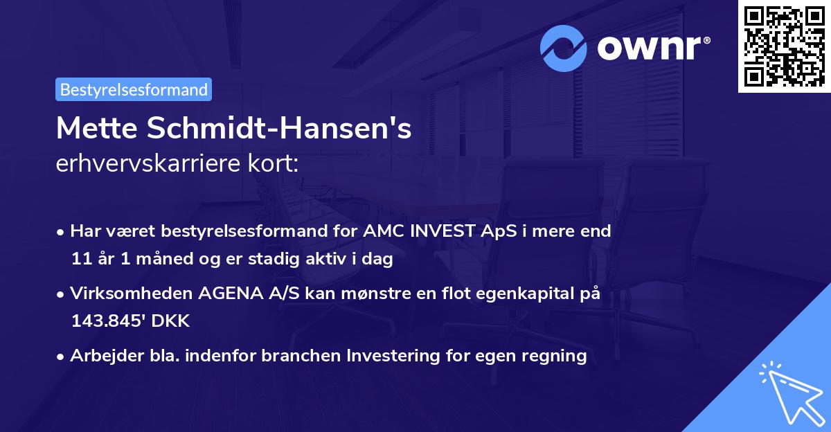Mette Schmidt-Hansen's erhvervskarriere kort