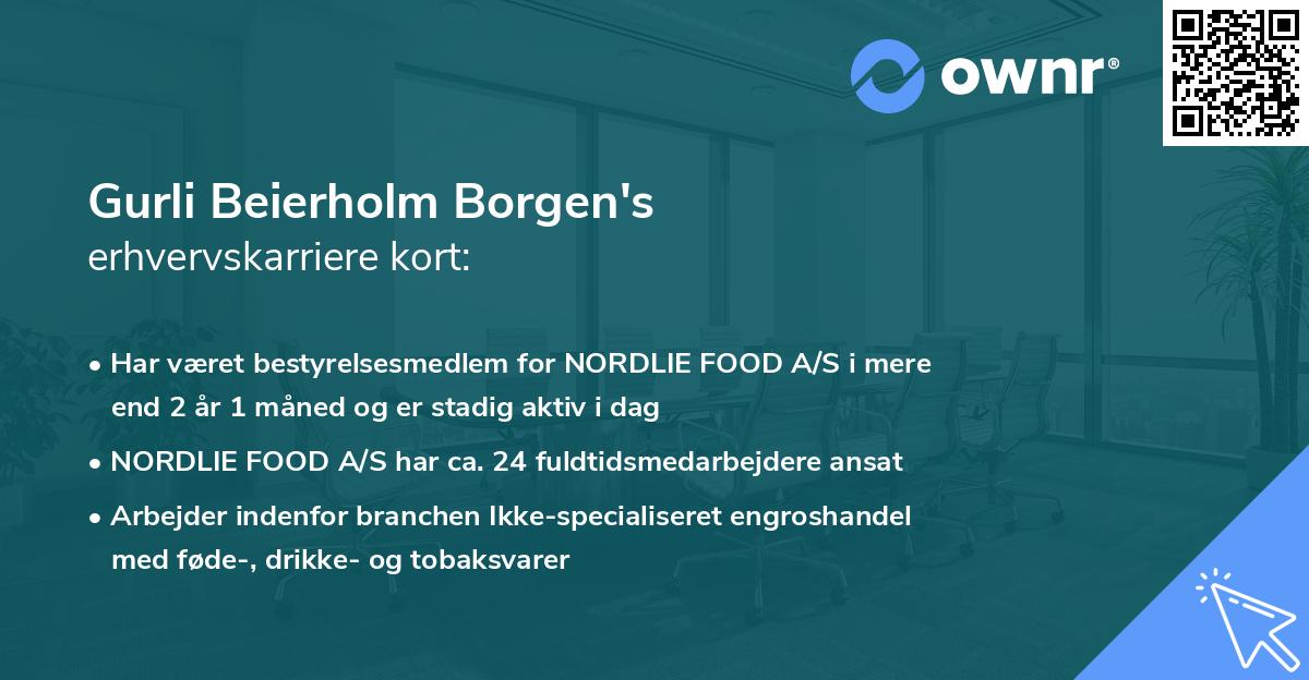 Gurli Beierholm Borgen's erhvervskarriere kort