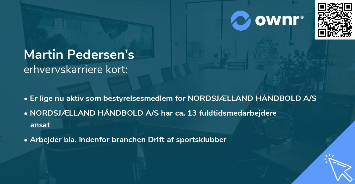 Martin Pedersen's erhvervskarriere kort