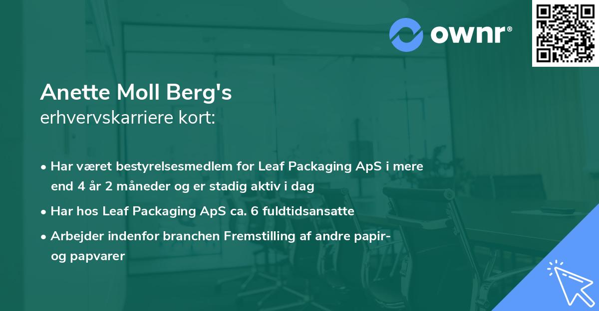 Anette Moll Berg's erhvervskarriere kort