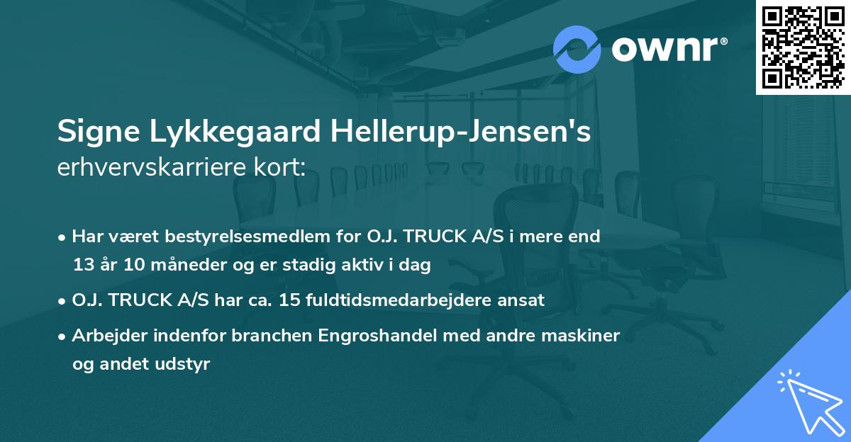 Signe Lykkegaard Hellerup-Jensen's erhvervskarriere kort