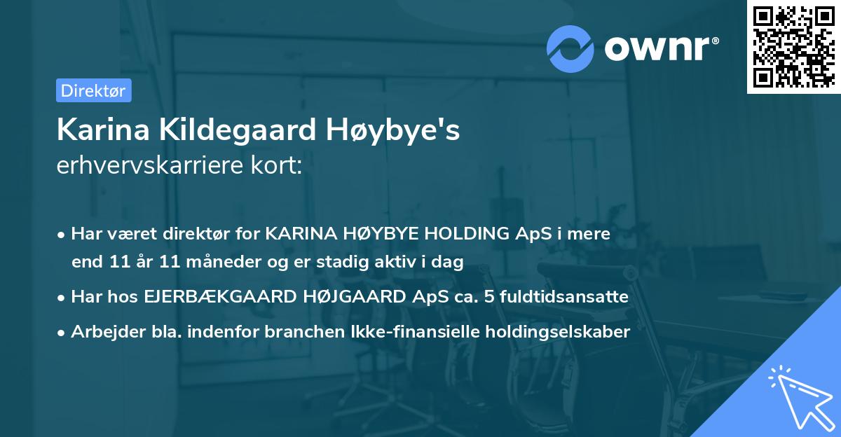 Karina Kildegaard Høybye's erhvervskarriere kort