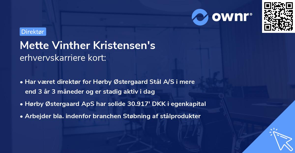 Mette Vinther Kristensen's erhvervskarriere kort