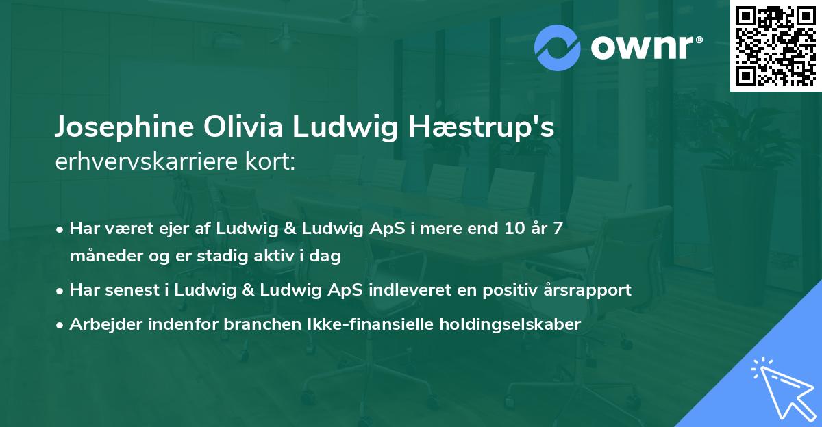 Josephine Olivia Ludwig Hæstrup's erhvervskarriere kort