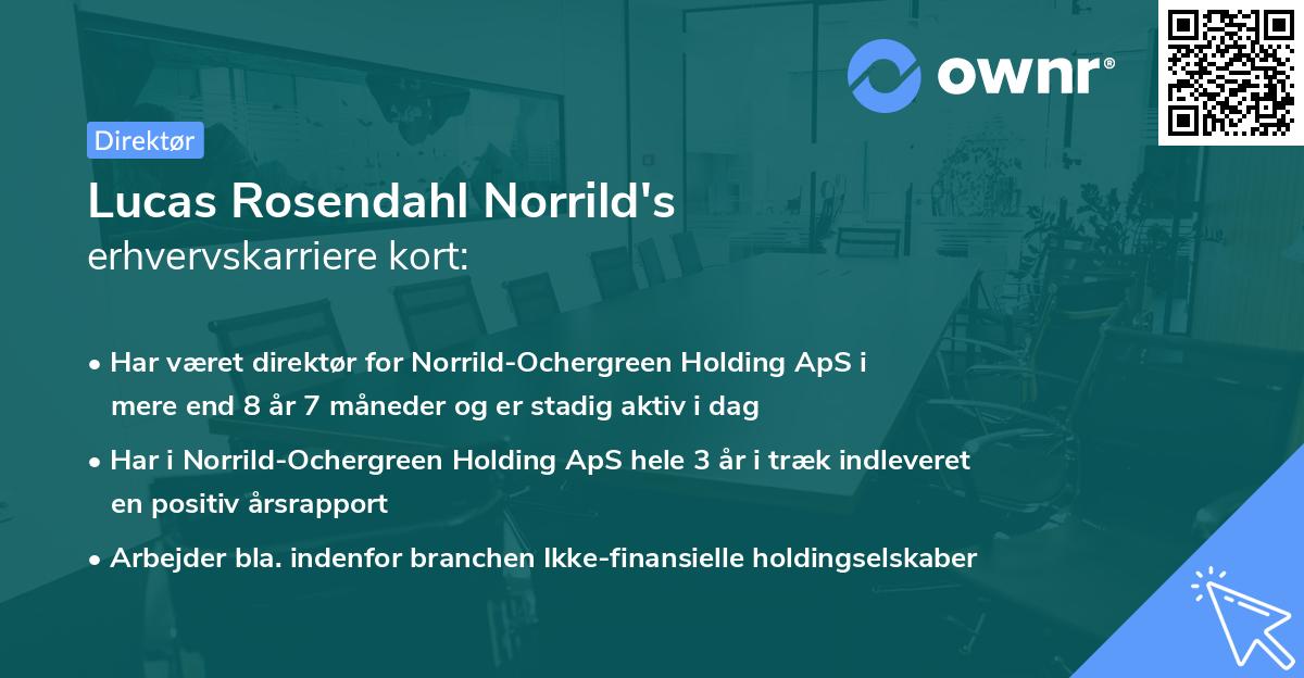 Lucas Rosendahl Norrild's erhvervskarriere kort
