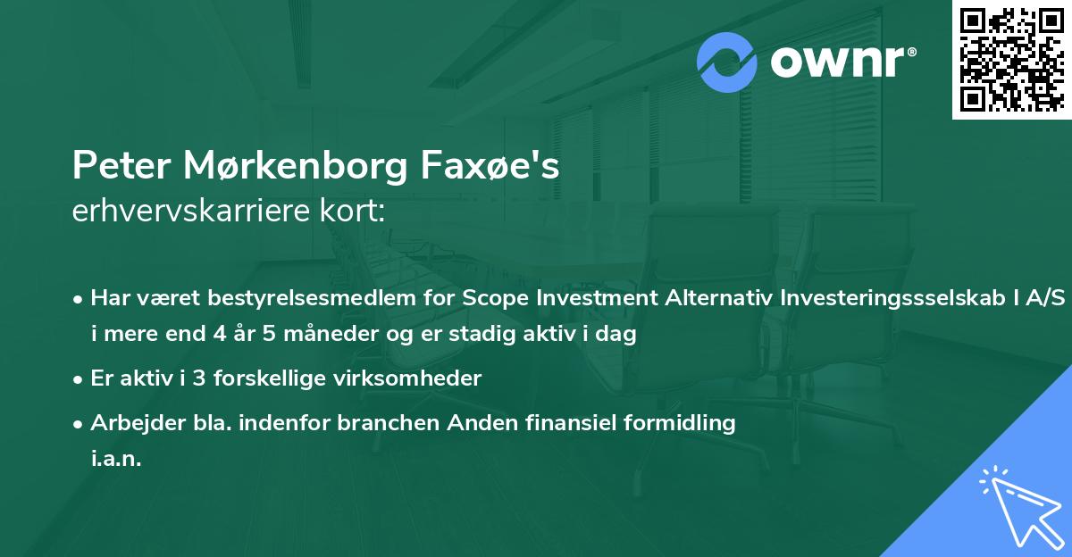 Peter Mørkenborg Faxøe's erhvervskarriere kort