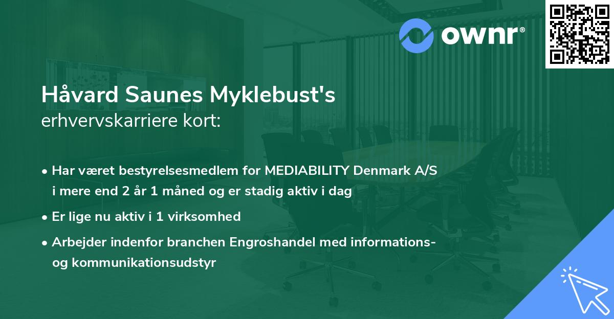 Håvard Saunes Myklebust's erhvervskarriere kort