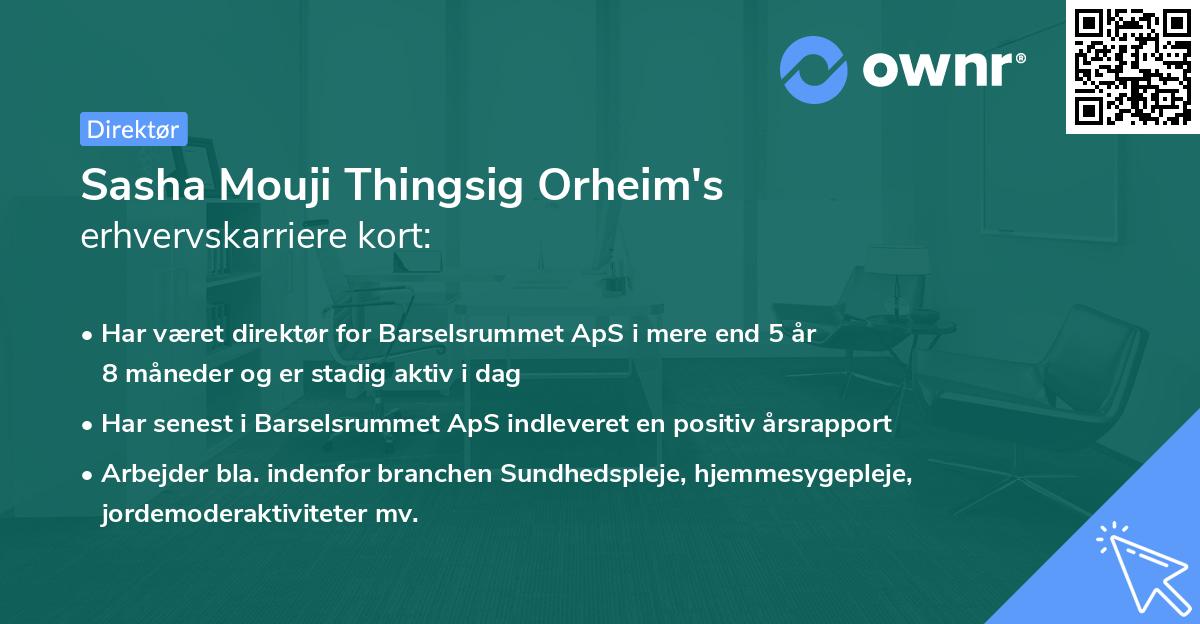 Sasha Mouji Thingsig Orheim's erhvervskarriere kort
