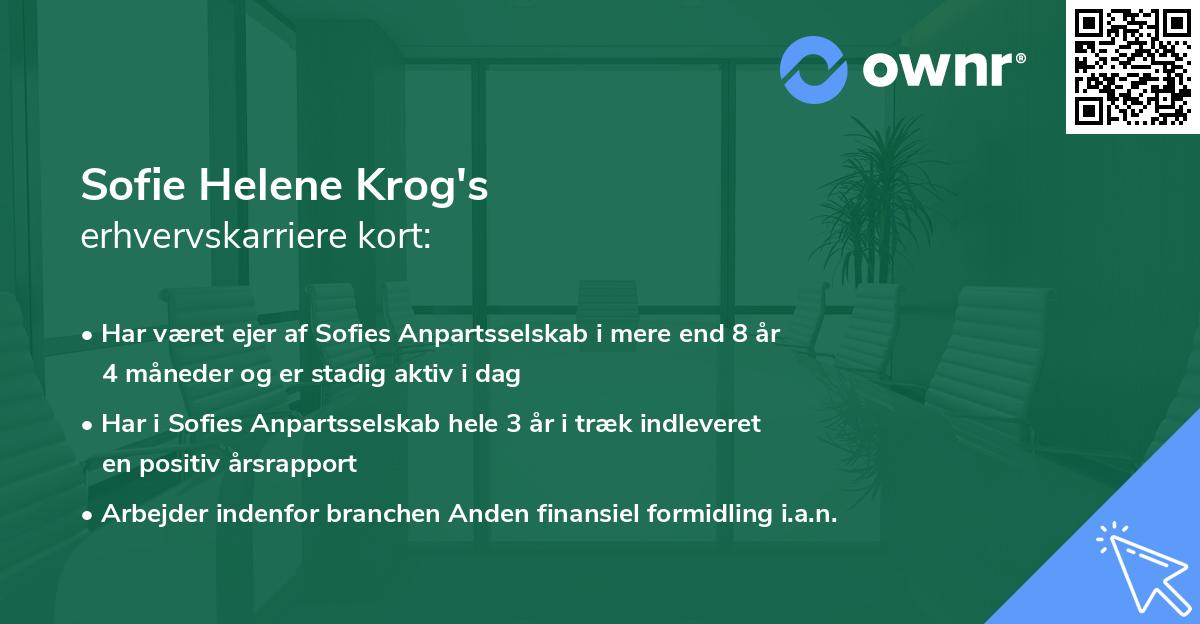Sofie Helene Krog's erhvervskarriere kort